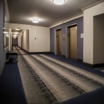 Hallway renovation 2020 with new paint, lighting, and carpet..